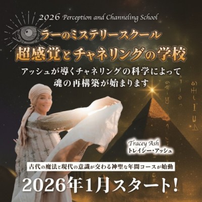 トレイシーアッシュ2026スクール